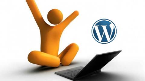 1 day Wordpress website