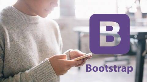 Bootstrap Basics Program Responsive Websites