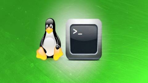 Learn Bash Shell in Linux for Beginners