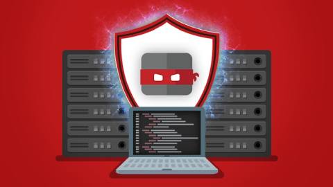 Learn Server Security With BitNinja