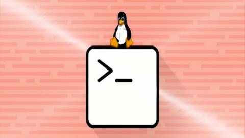 Linux Shell Course for Beginners