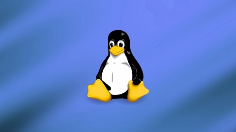 Learn GREP and SED on Linux for Beginners